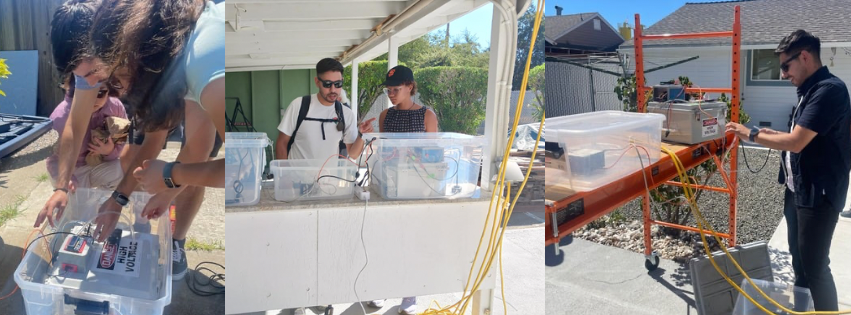 collage of photos of field work
